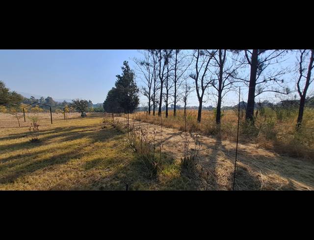 4.60HA SMALLHOLDING FOR SALE IN MODDERFONTEIN AH